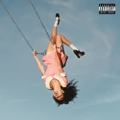 Chart track